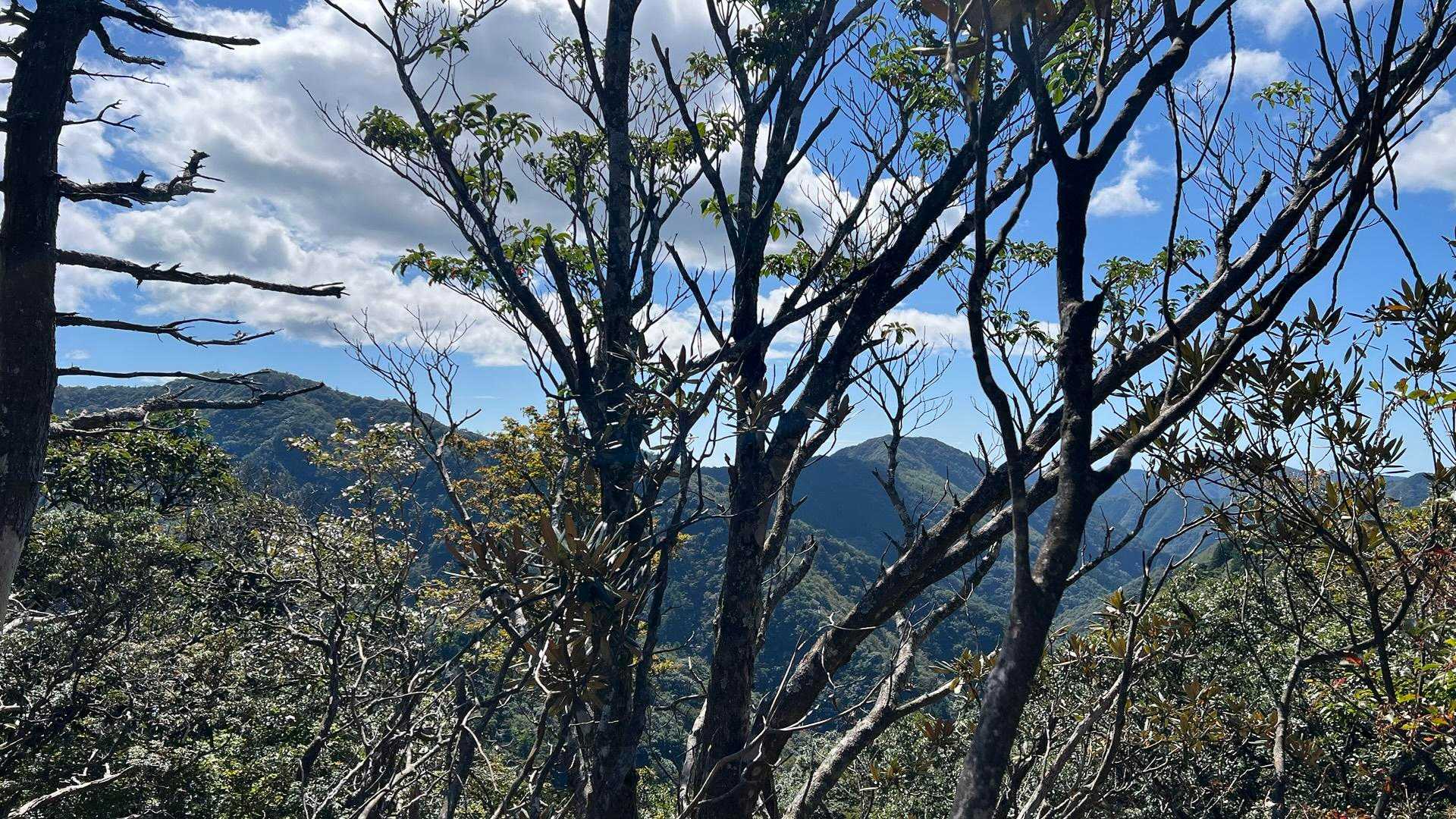 道中で最も良かった南西方面の眺望

この後大塔山登山口に駐輪した自転車でマイカーまで戻りました。
この後写真は有りませんが何十年ぶりのハプニングに見舞われるとは予想だにしてませんでした。詳細は活動メモを参照