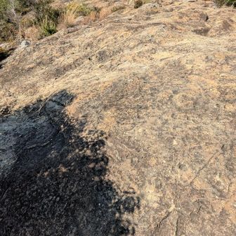 下りてから振り返って
右上の方に人が登ってたんだけど、写真じゃわからないね🤔