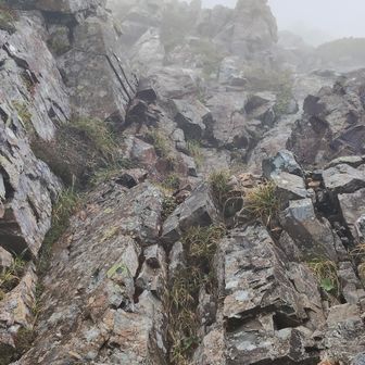 池ノ谷乗越から池ノ谷の尾根の頭へ、手ががり足ががり多く、登りやすいです。