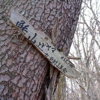 トド山山頂
気温はおそらく氷点下、雪もはらりと
立ち止まると一気に寒くなる