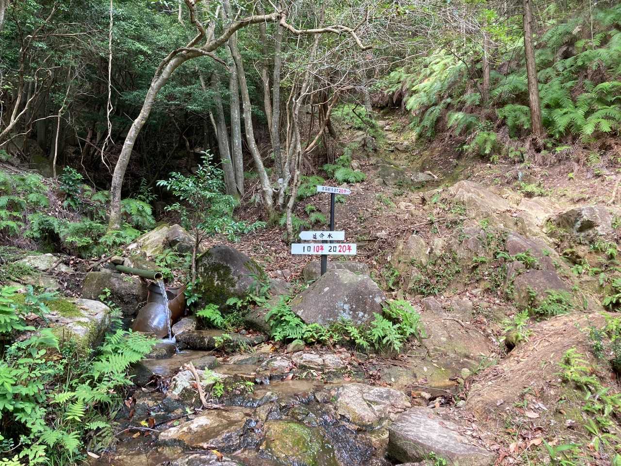 観音岳 往復コースの写真