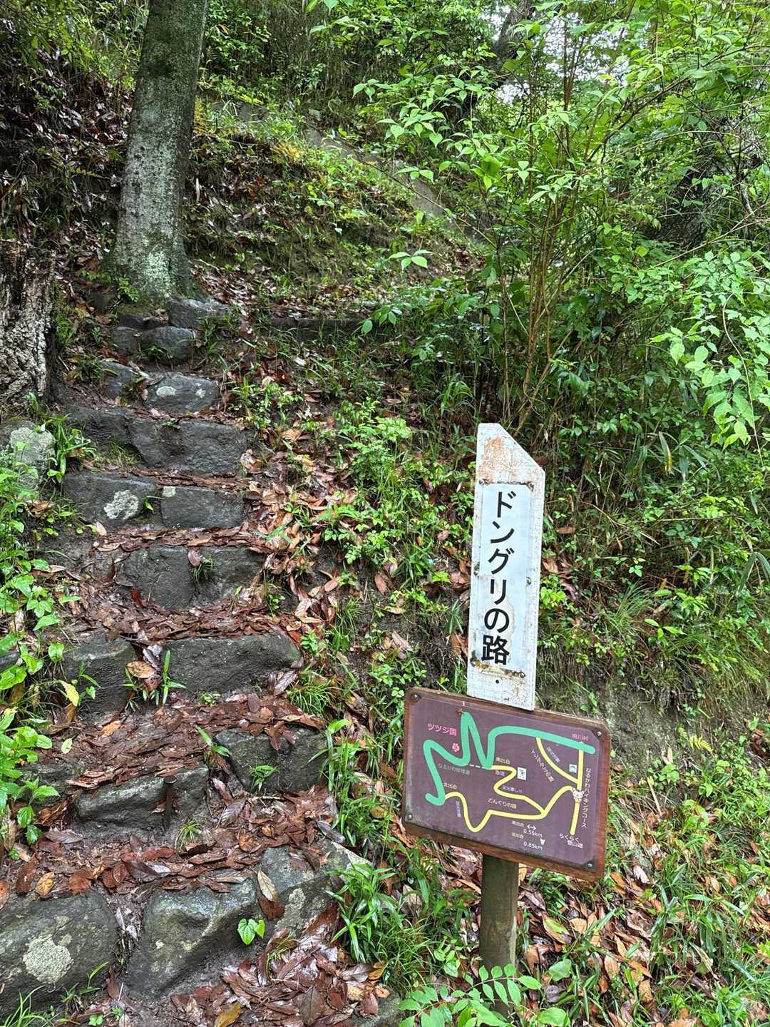 枚岡駅-枚岡神社-神津嶽-神津嶽ふれあい広場-瓢簞山駅 縦走コースの写真