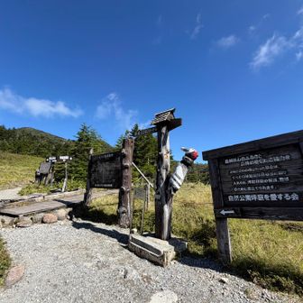 山頂駅からさあスタートします。天気が良くてテンション上がります🤗　外気20度くらいで気持ちがいいです。