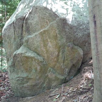 葛城修験エリアマップ（二上山周辺） 人面石　
ゴリラかな