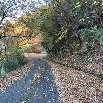 下りて来た〜　大黒山の取り付きまでテクテク