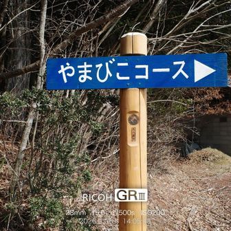 登山道に入る。