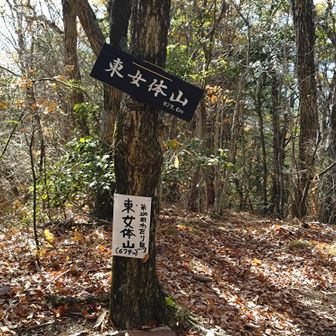 東女体山
眺望は望めない