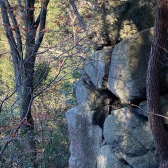 奇岩っぽい🪨