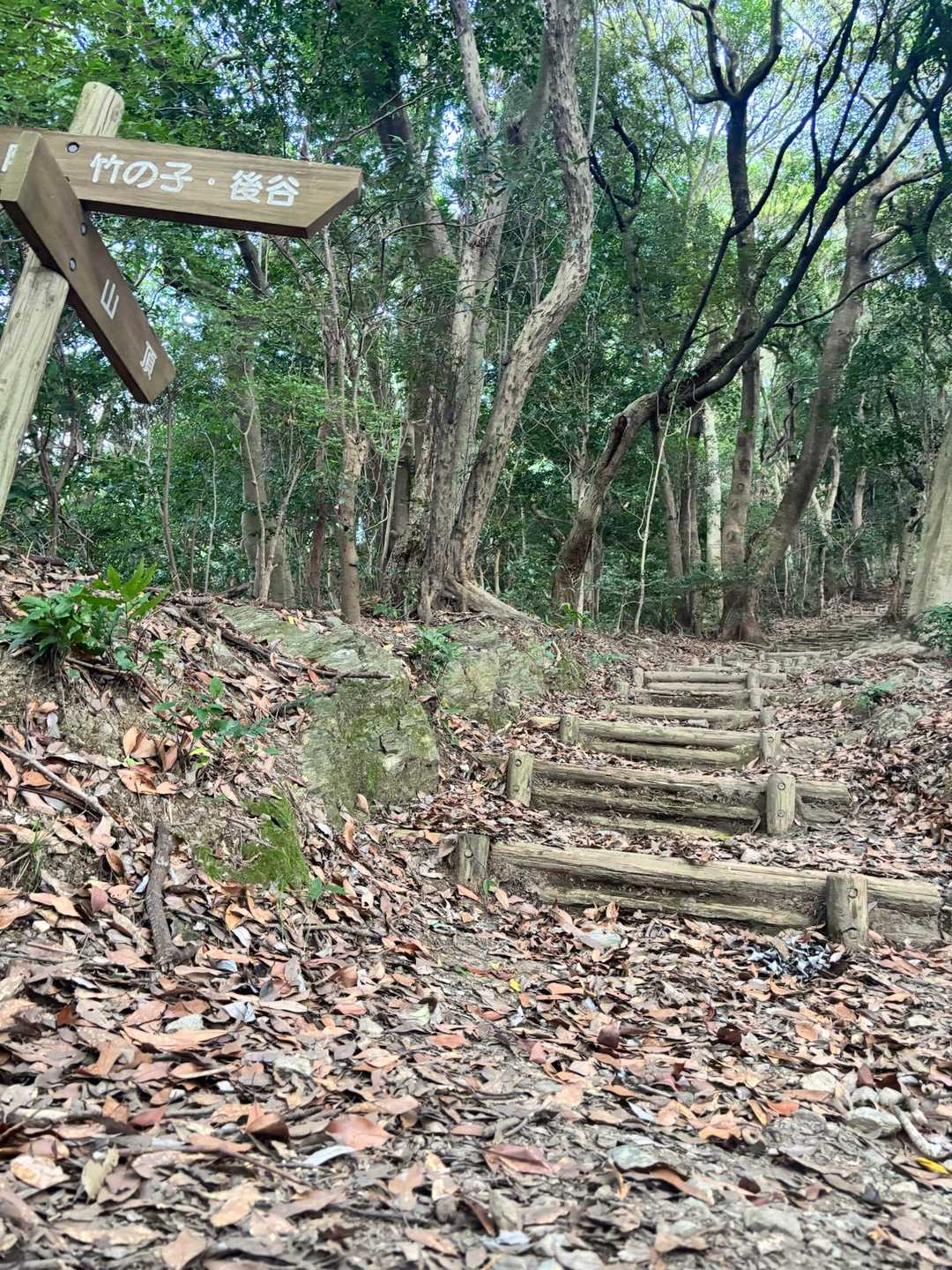 あ、階段💧‬ここを頑張ったら頂上だね。