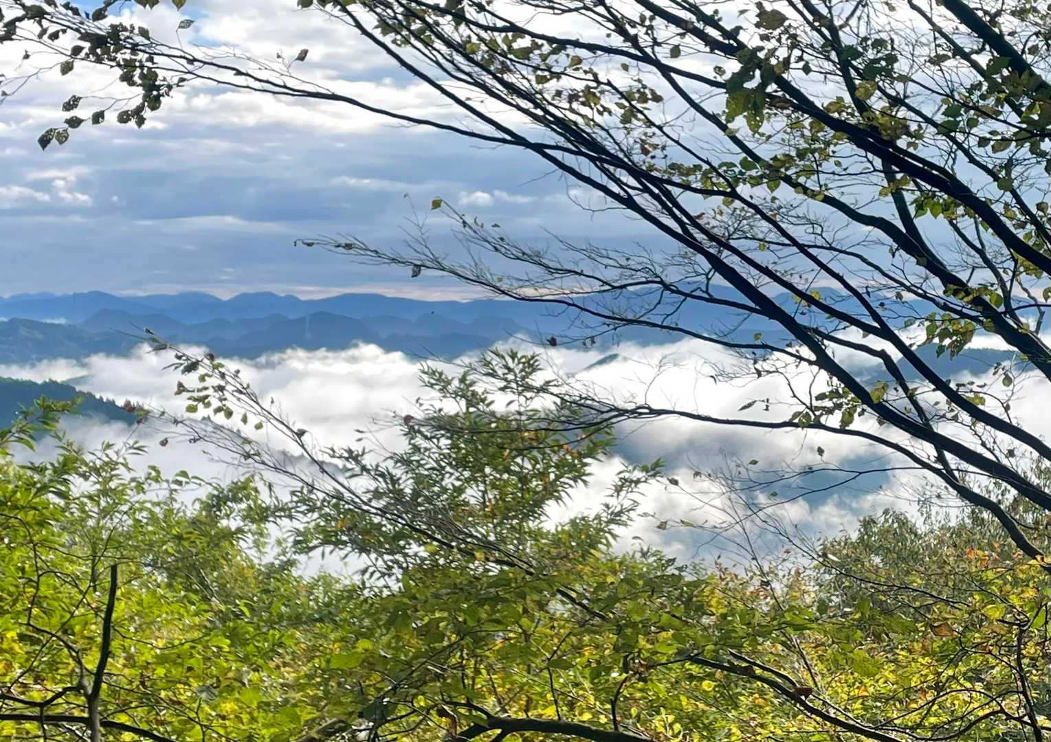 山頂から東側へ30ｍ程の開けたところから...😳

ラッキー✌️雲海が...😄