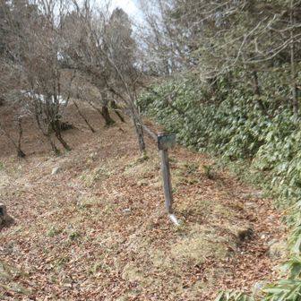 神坂峠から少し萬岳荘方面へ行ったところにある尾根通しの道の登り口。