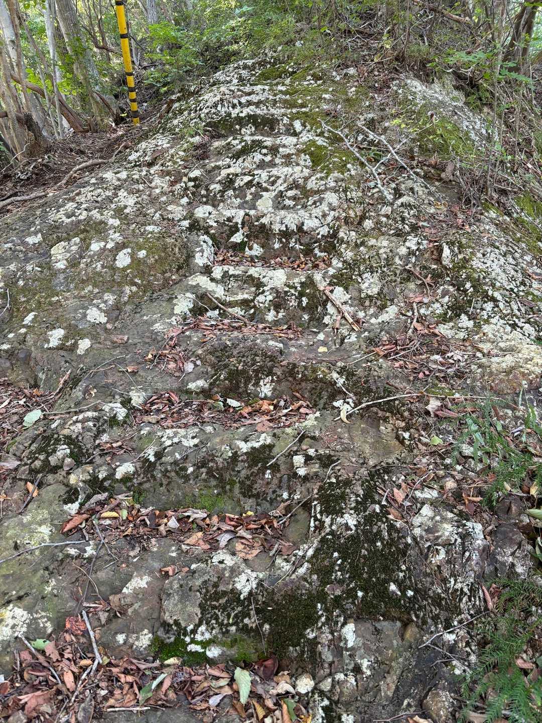 やっぱり男体山⛰️
いわいわしてる