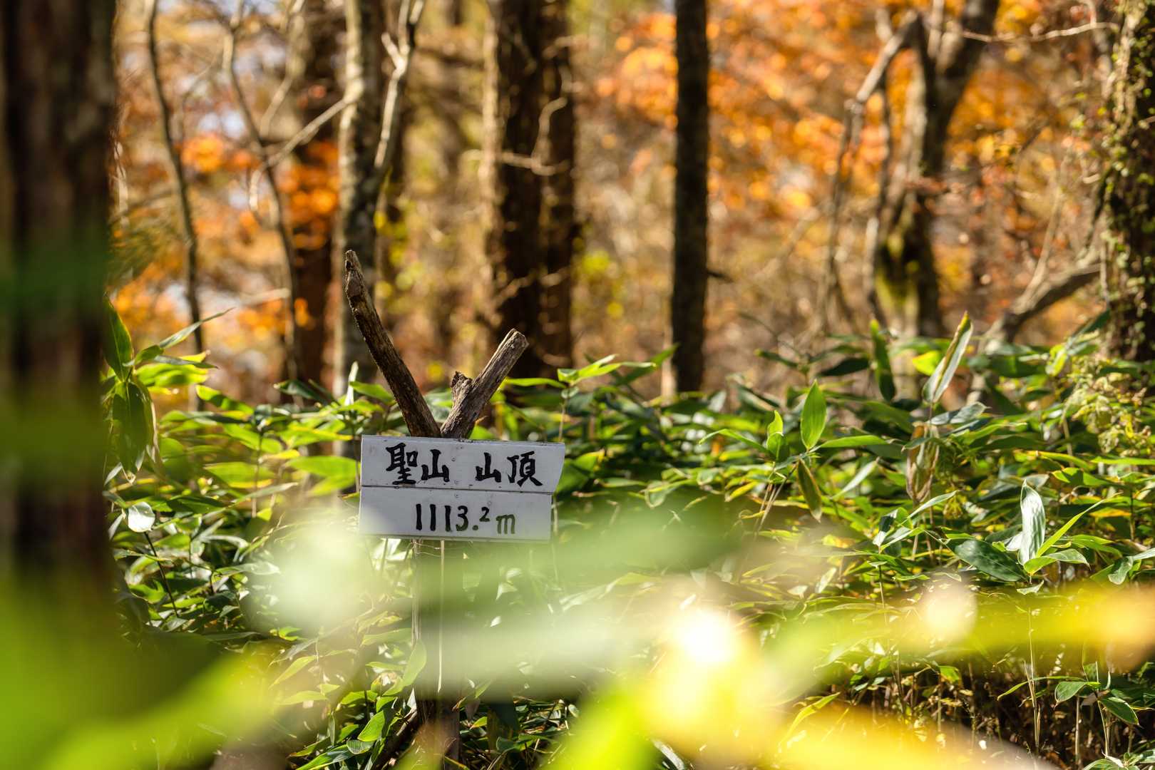 聖山着