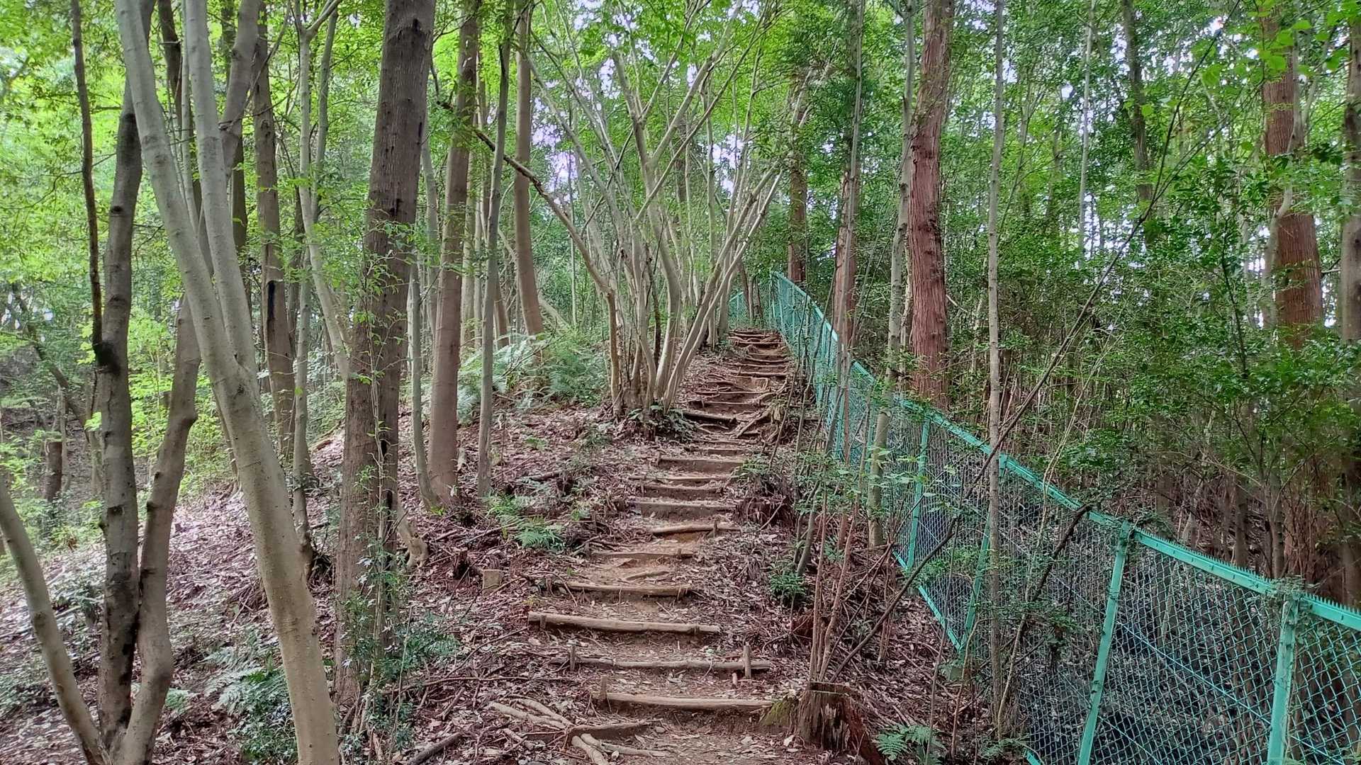フェンス沿に歩きます🎶