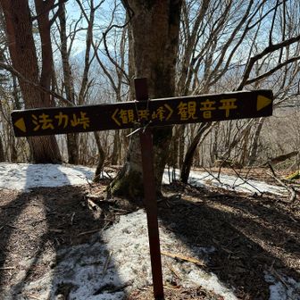 取り残した観音峰ピークGET❗️