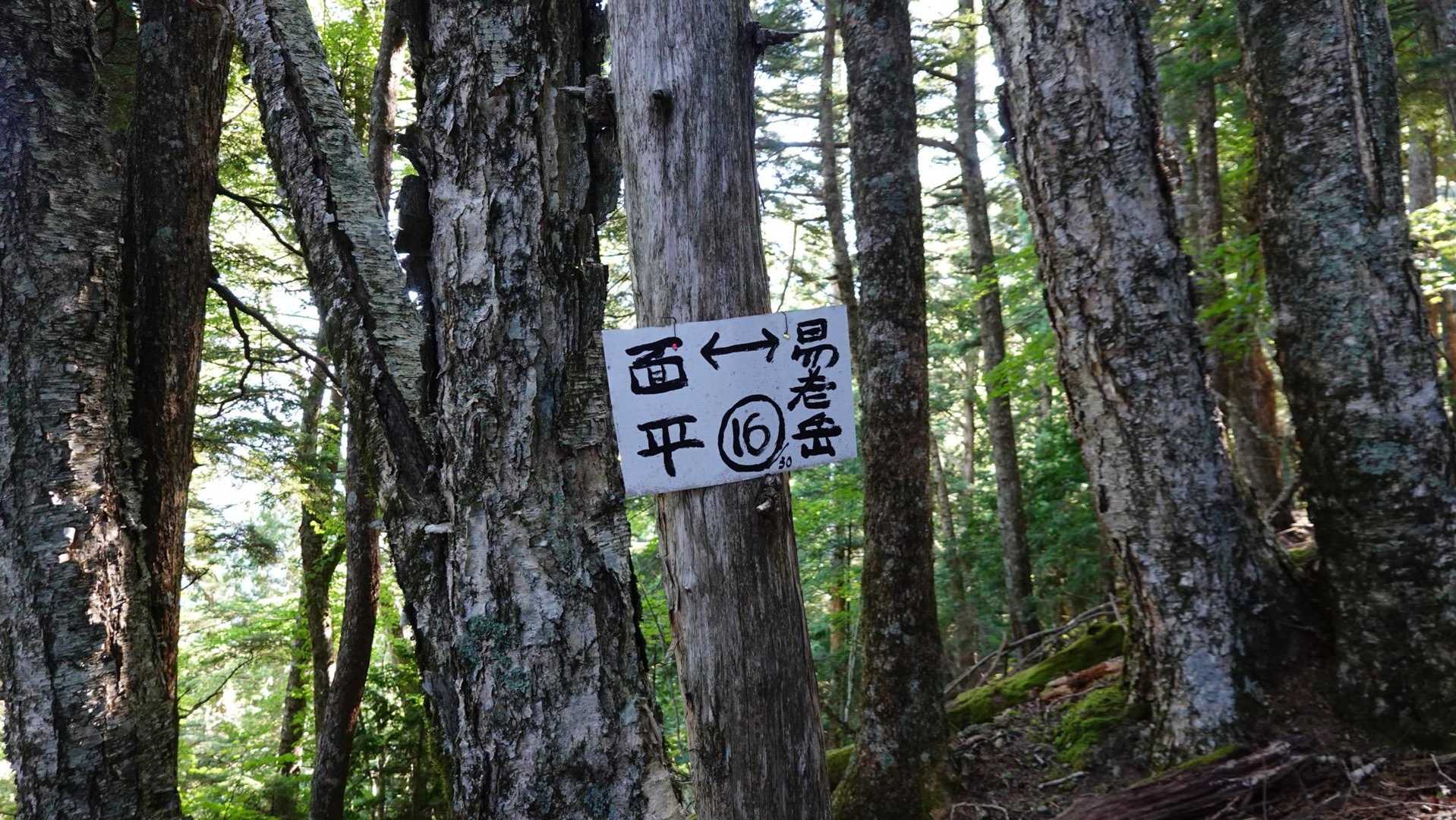 16
15見逃した！