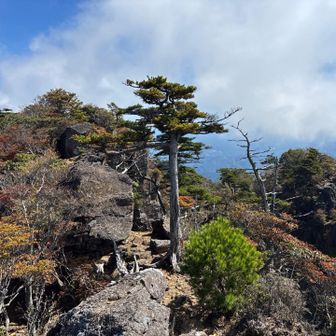 傾山頂上の様子