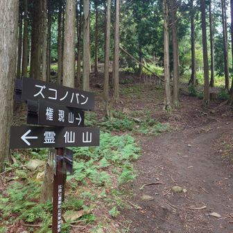 ズコノバン！とは？