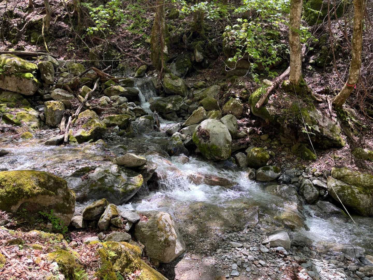 渡渉地点②
