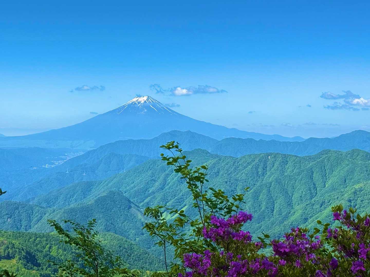 大峠登山口-姥子山 往復コースの写真