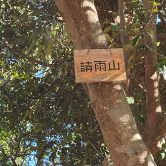 標識は祠の裏に