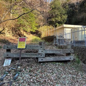 ここからグレーピーク🩶へ