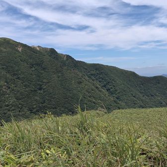女三瓶と男三瓶