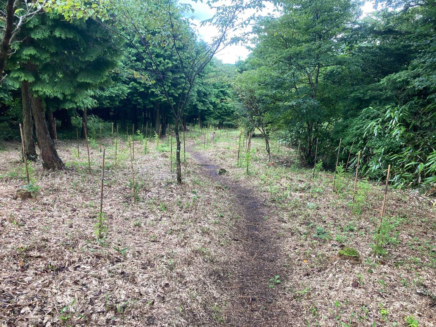 とても整備された道です！
ボランティアさん方のお陰です😊
ありがとうございます♪
