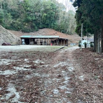 キャンプサイトまで下りてきた😀