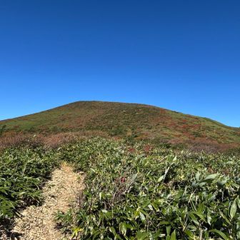 一旦降りて登り返し！やっと箕輪山に近づく！