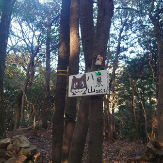 八景山⛰️
🐶ちゃんの可愛いプレート💕
ここまでたくさんの若者グループと前後する！相方情報によると、我々の母校岡山大に愛媛大、香川大の学生グループとのこと。普段は学生グループと出会うことがないので、ワチャワチャ楽しそうな様子にほっこり😀
