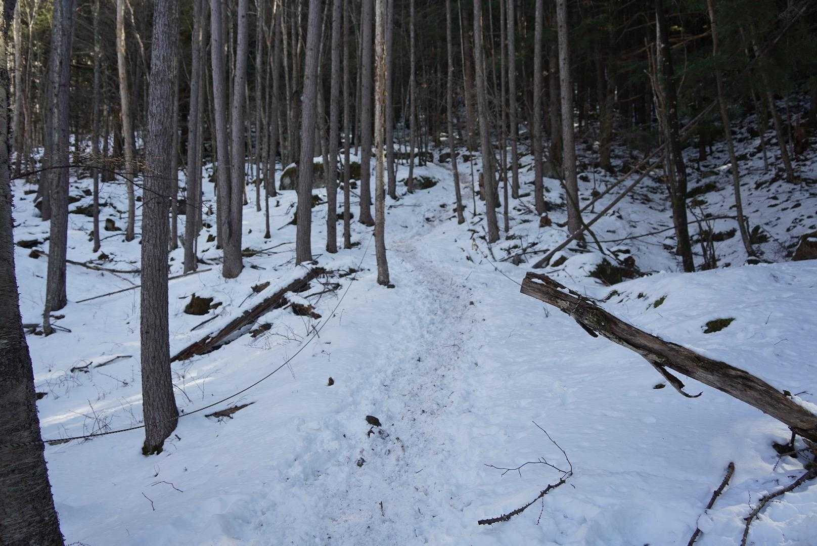 尾根を登り始めるとだんだんと雪景色に。途中でチェンスパ装着。
