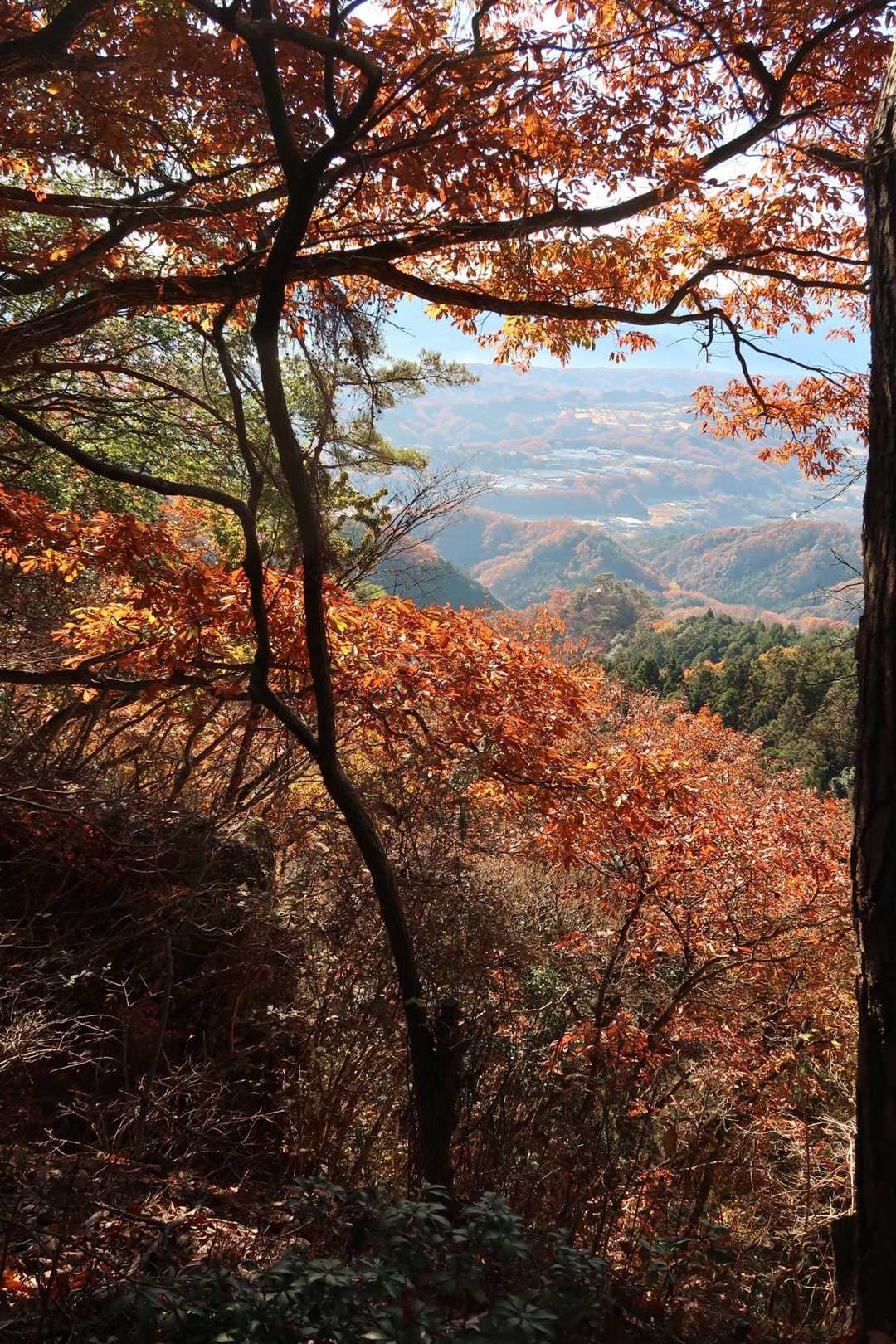 風戸入口バス停-破風山-札立峠-礼所前バス停 周回コースの写真