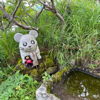 ハム太郎かな？