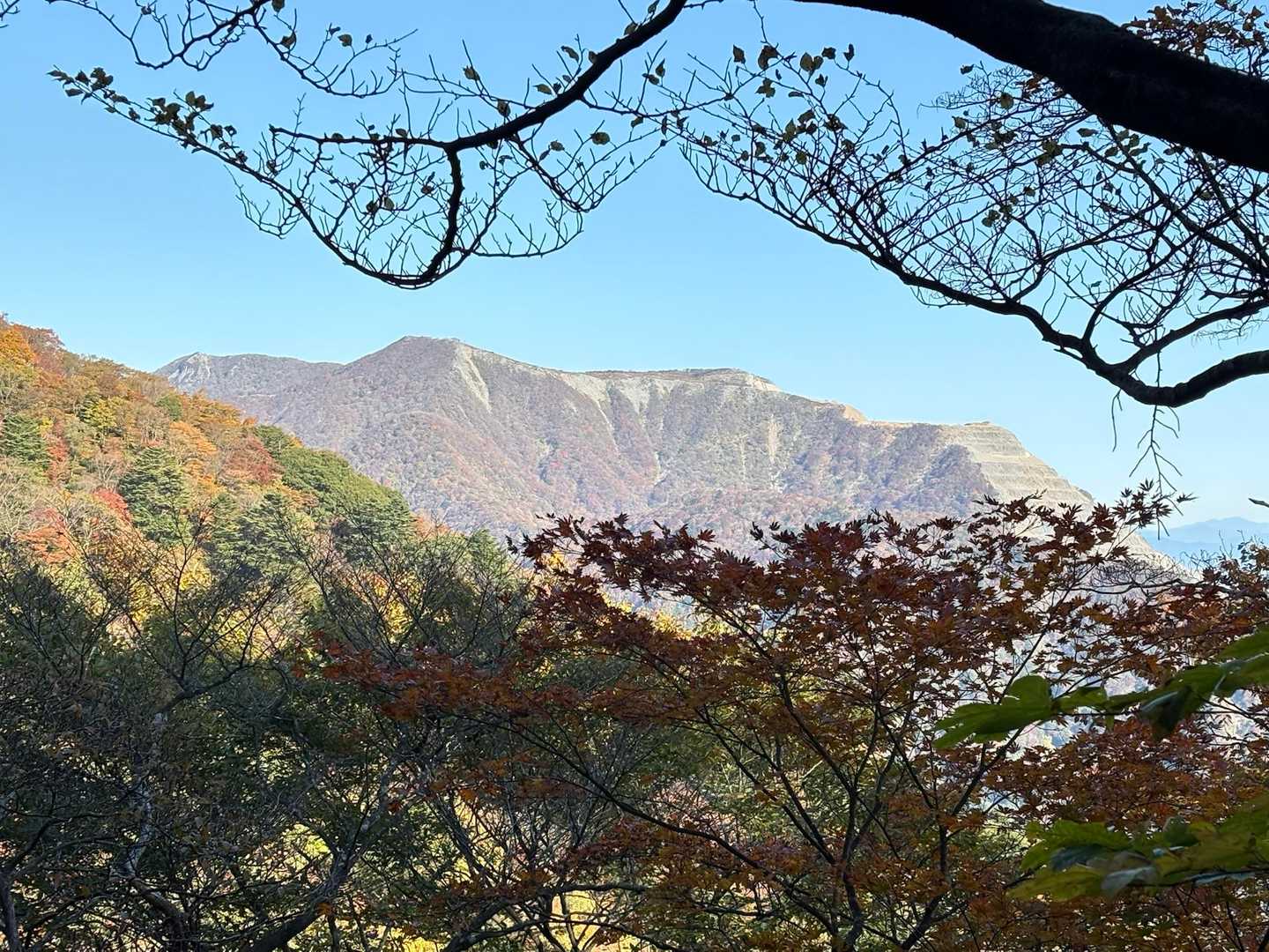 道中、少し眺望が🤩
藤原岳がかっこいい‼️
