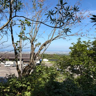 瀬戸内海が