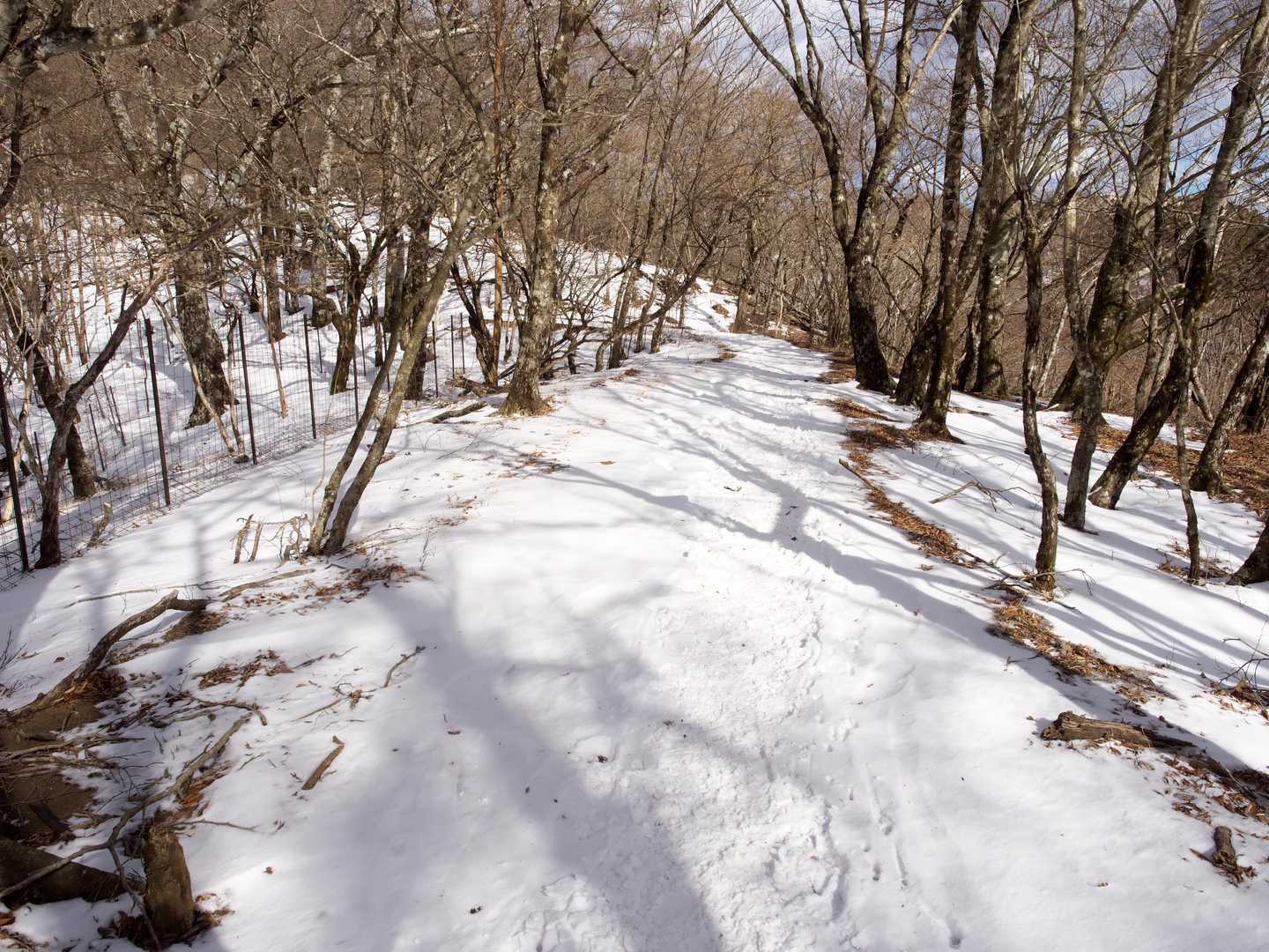鍋割山から塔ノ岳分岐の金冷しへの尾根道は、結構雪があります。ほとんど凍ってはいませんでしたが、念のために途中からチェーンスパ装着〜