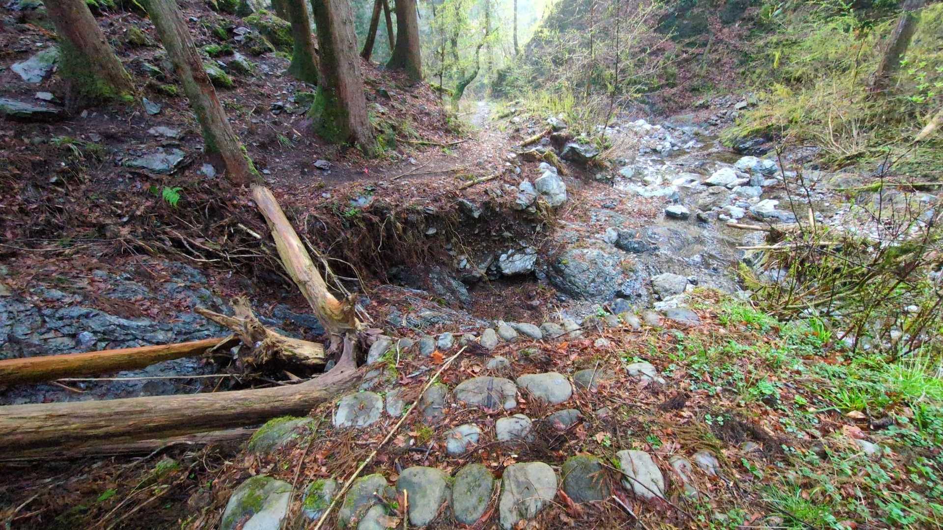 橋---落ちてます😱