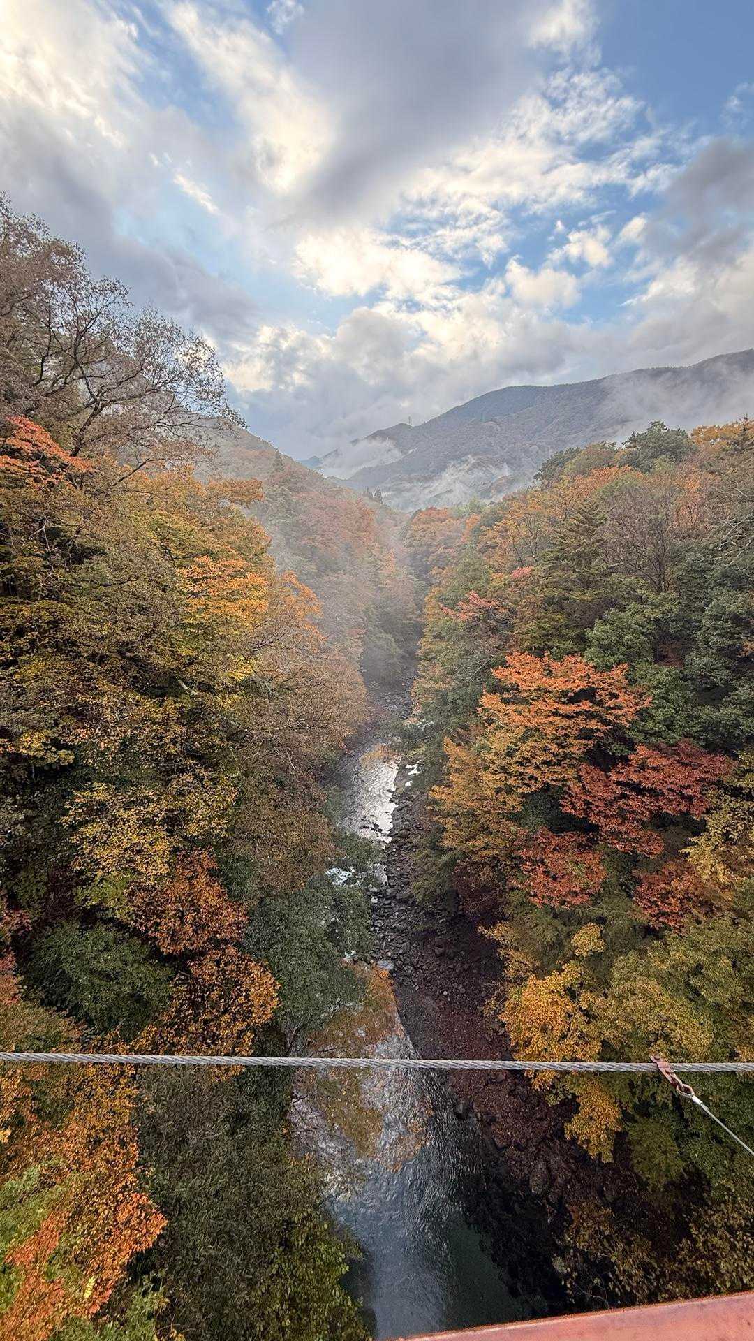 吊り橋より道志川