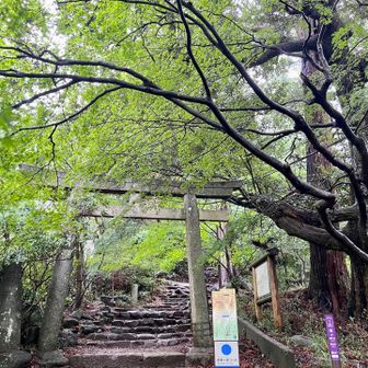平日の曇りなのに割と登山者が多い…😅
さすが筑波山👍