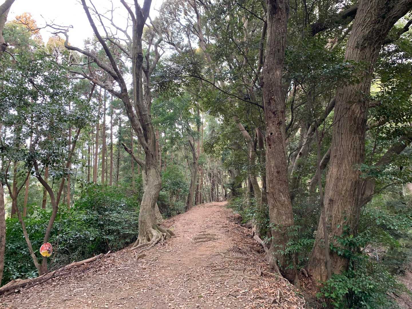 三日月山-立花山 往復コースの写真