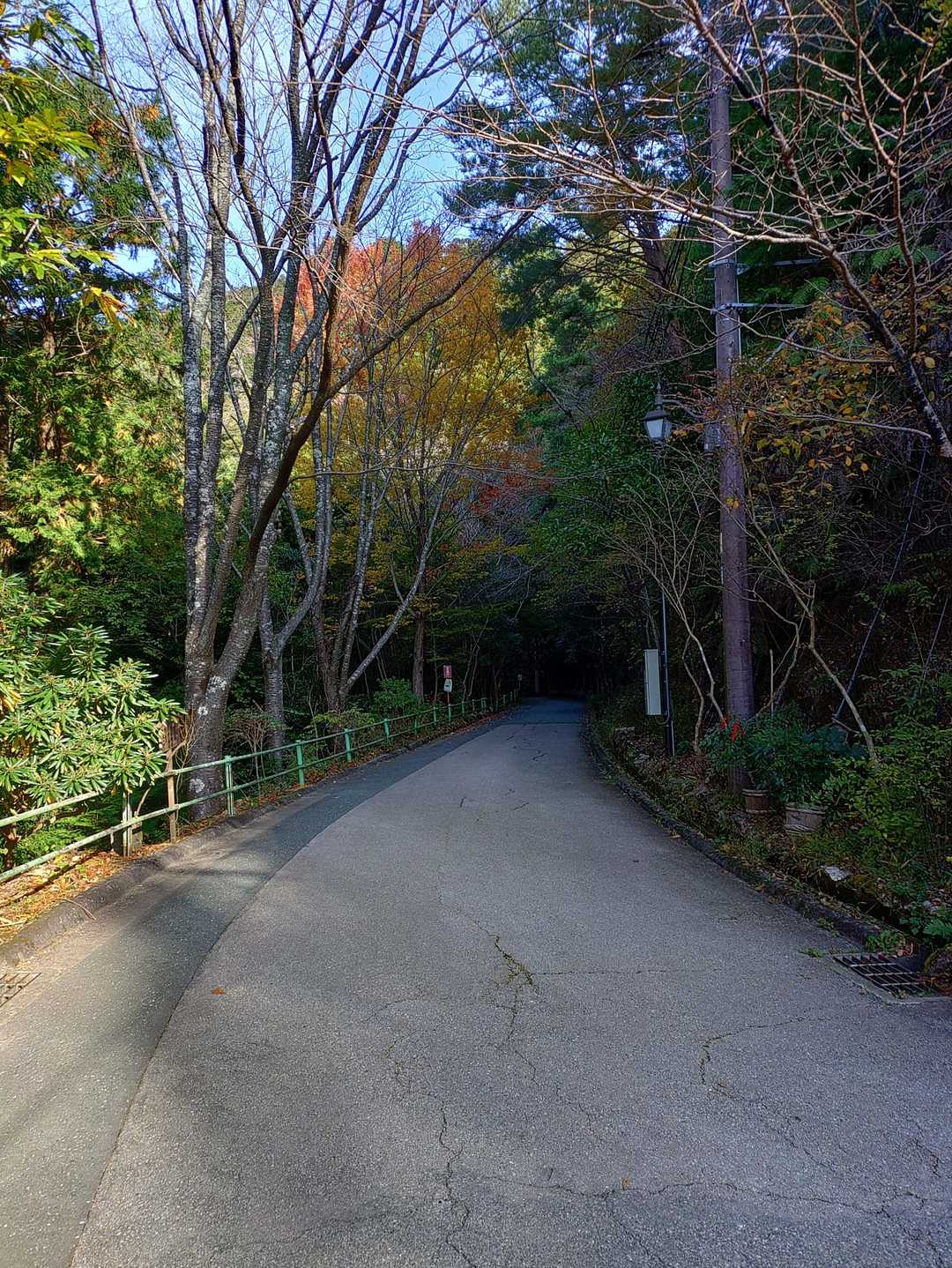 東照宮-瑠璃山 周回コースの写真