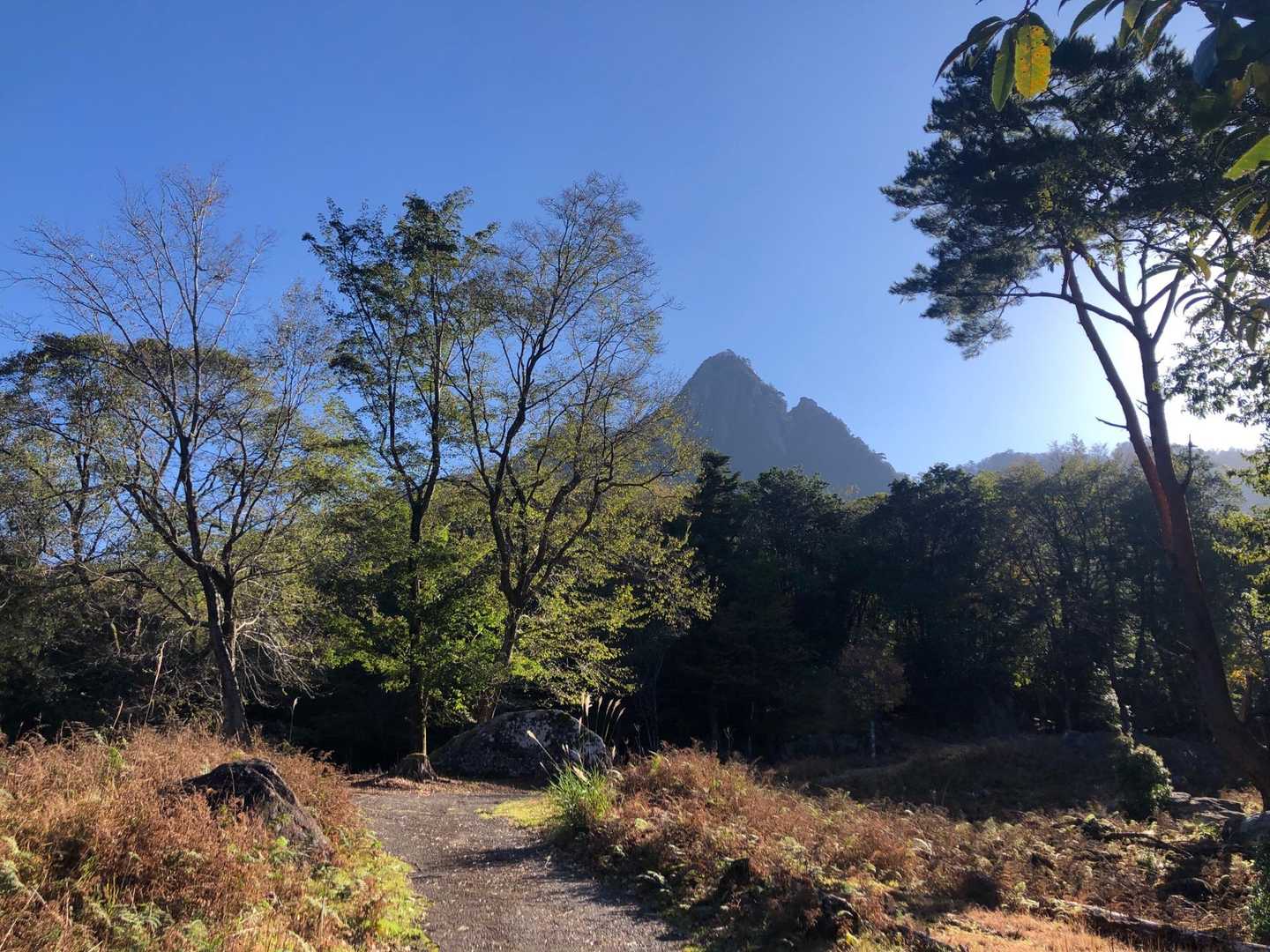 鬼の目山登山口-鬼の目山-鉾岳 往復コースの写真
