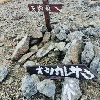 稜線到着です!
台風🌀の影響で東風🍃があり
南岳方面へそのまま進みます