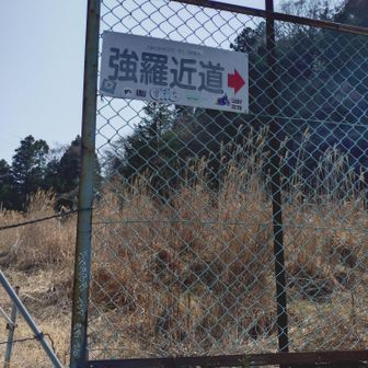 強羅近道❓ホントに❓
急な階段250段位ありました😱
途中で立ち止まってる人も数名・・