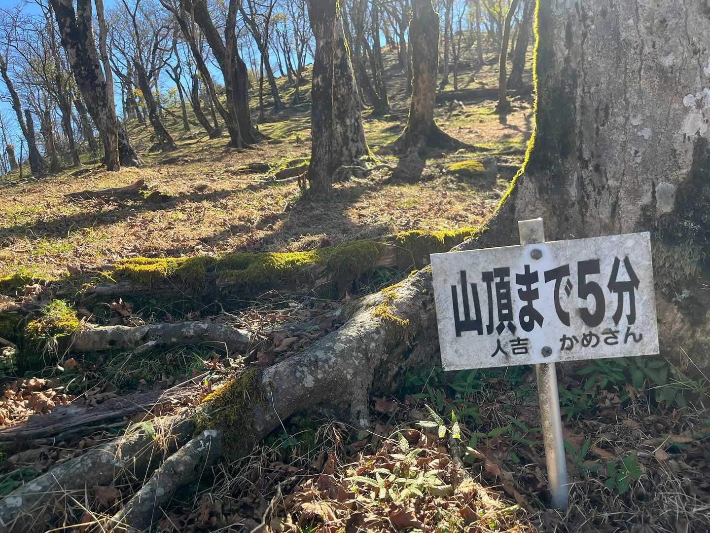 かめさん、ありがとう😃