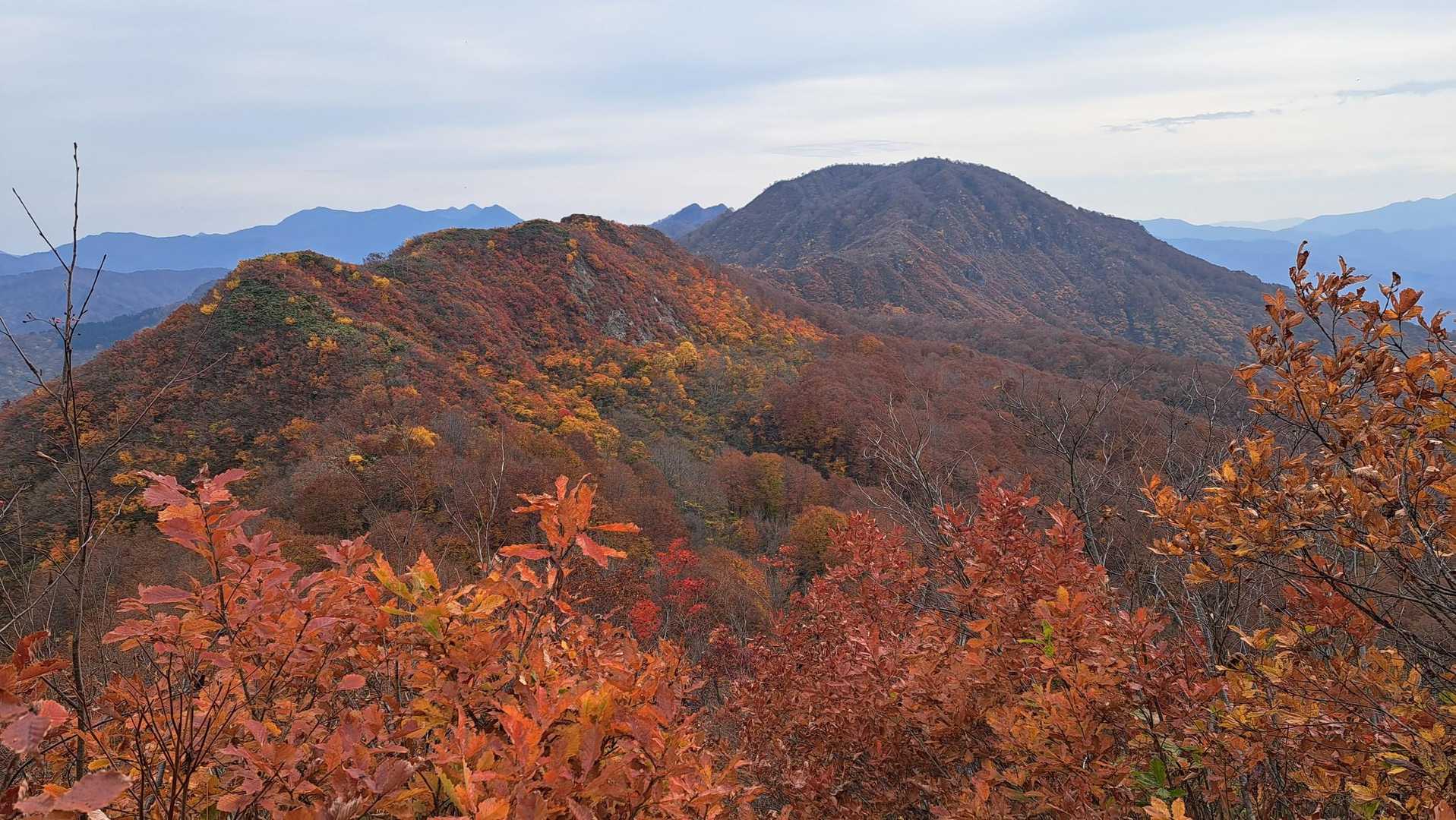 上権現堂山