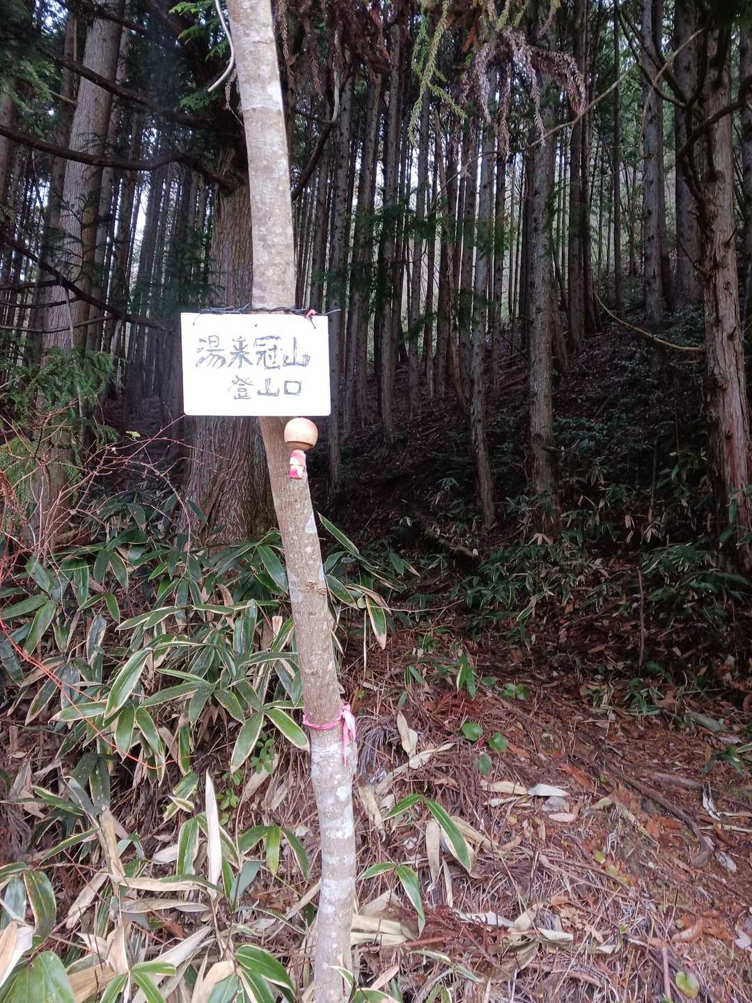 さあ、行きますか
しかし寒いねぇ🥶
