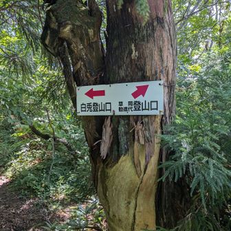 分岐の道標