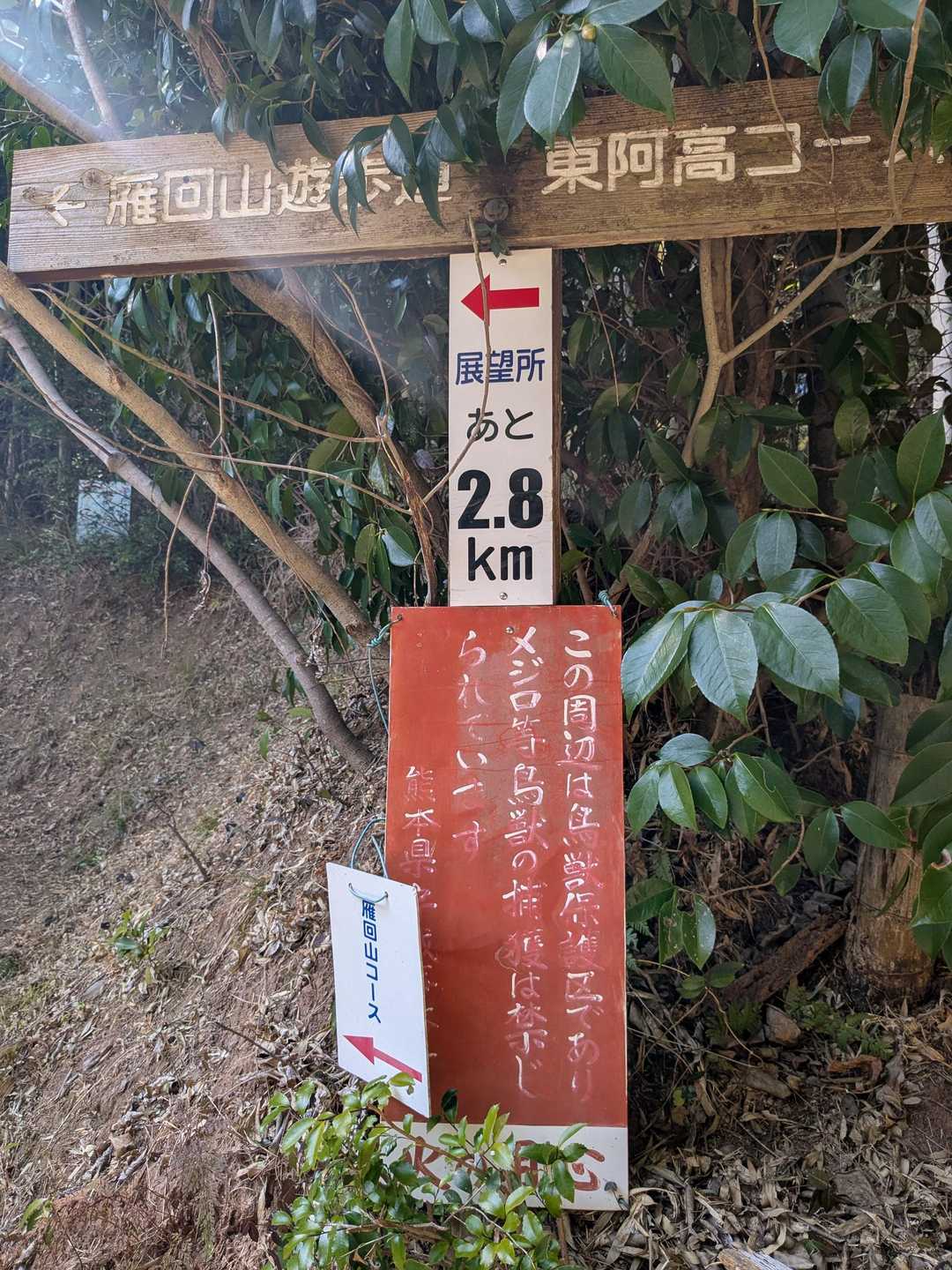雁回山 往復コースの写真